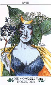 Madru. Das Baum-tarot