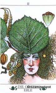 Madru. Das Baum-tarot