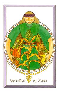 Medicine Woman Tarot