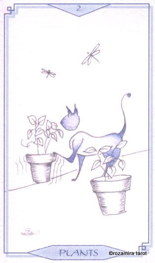 Bleu Cat Tarot