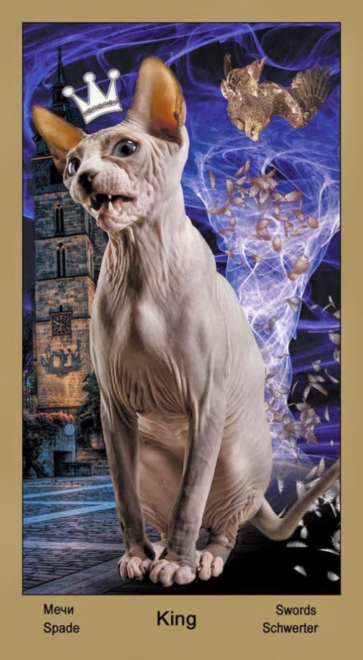 Таро Катавасия (Tarot Cat-A-Vasya)