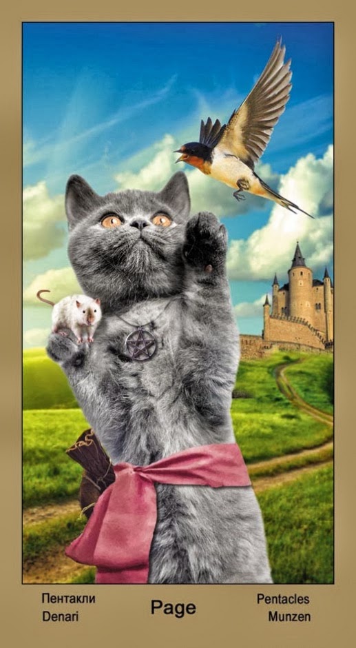 Таро Катавасия (Tarot Cat-A-Vasya)