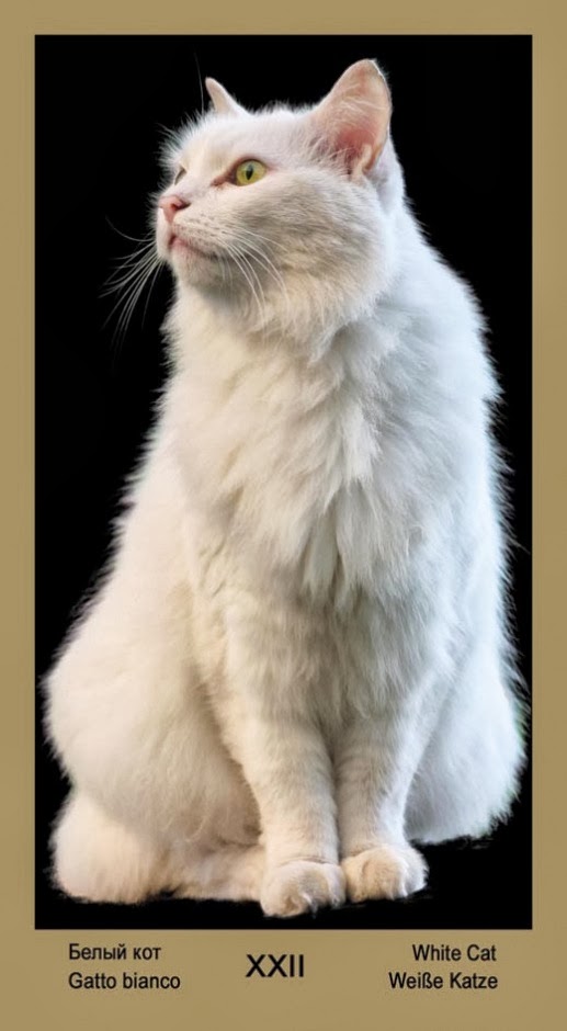 Таро Катавасия (Tarot Cat-A-Vasya)