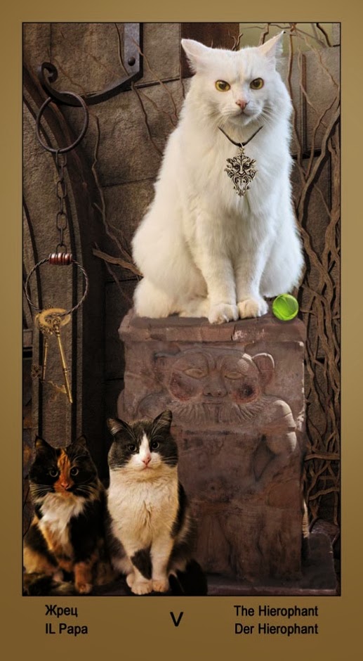 Таро Катавасия (Tarot Cat-A-Vasya)