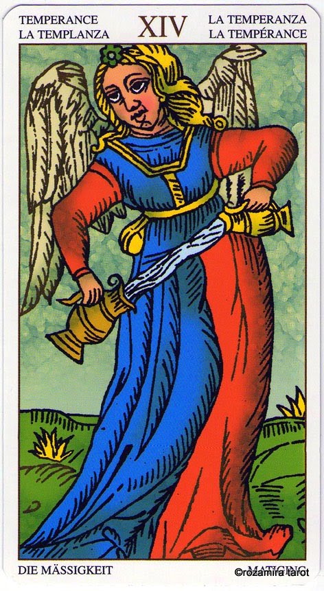 Universal Tarot Of Marseille (LS)