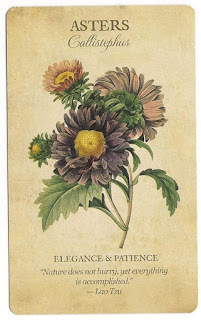 Botanical Inspirations Deck & Book Set