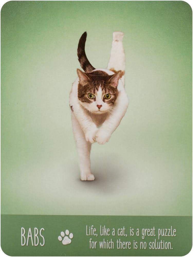 Yoga Cats Deck - Йога Кошек