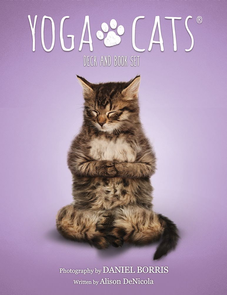 Yoga Cats Deck - Йога Кошек