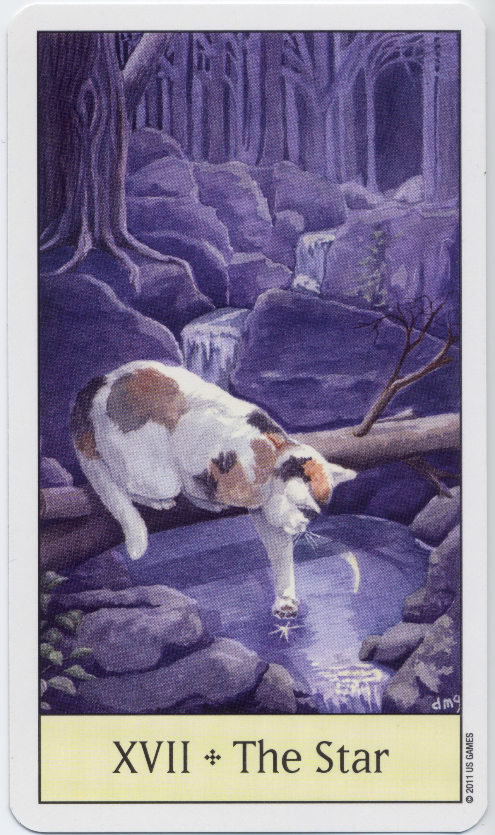 Cat's Eye Tarot