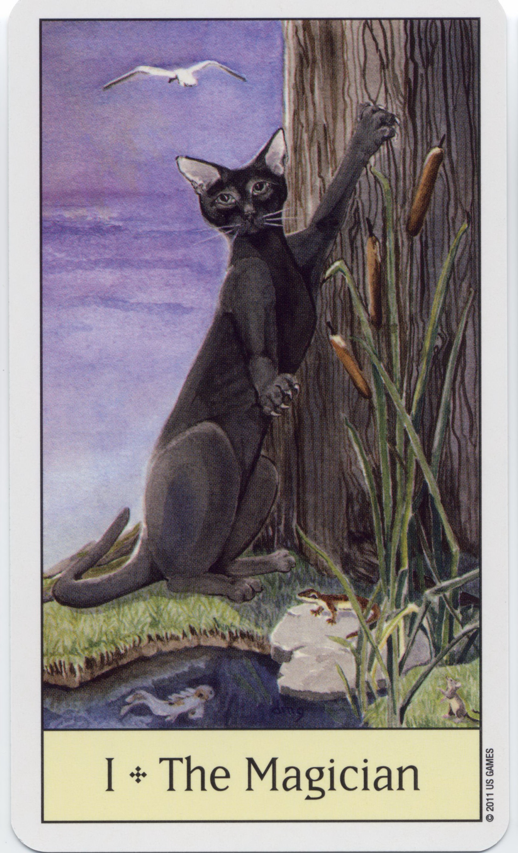 Cat's Eye Tarot