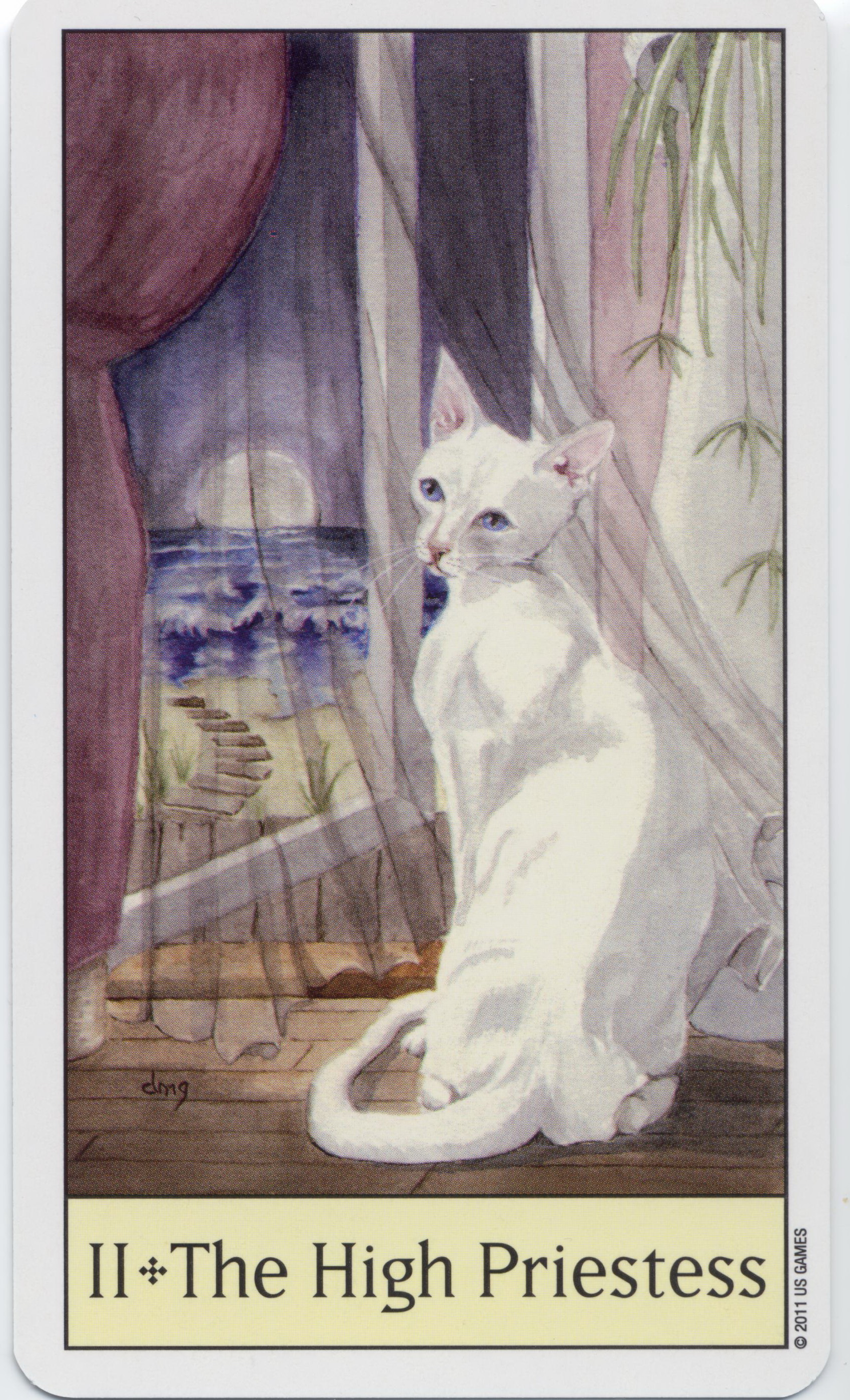 Cat's Eye Tarot