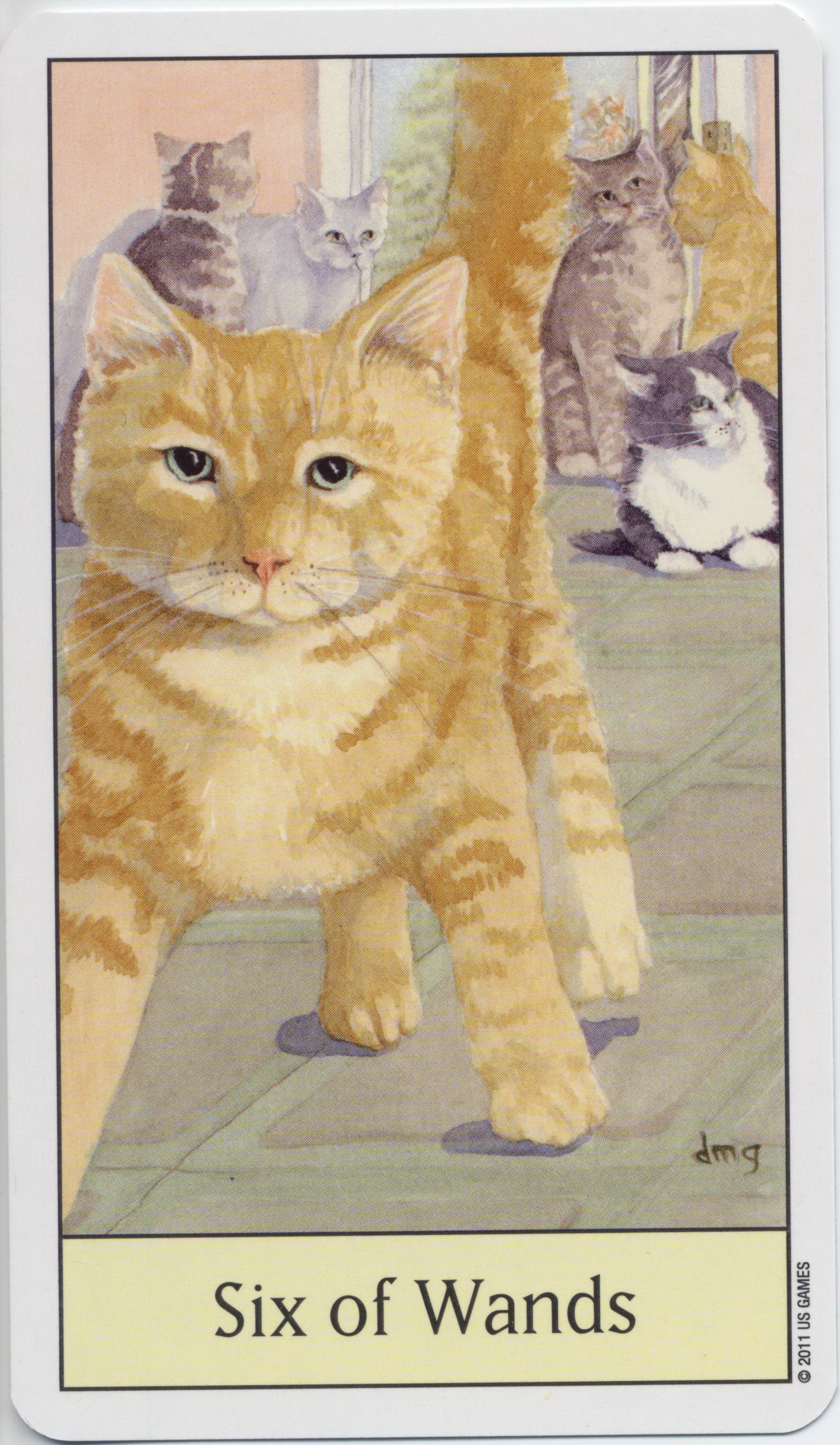 Cat's Eye Tarot