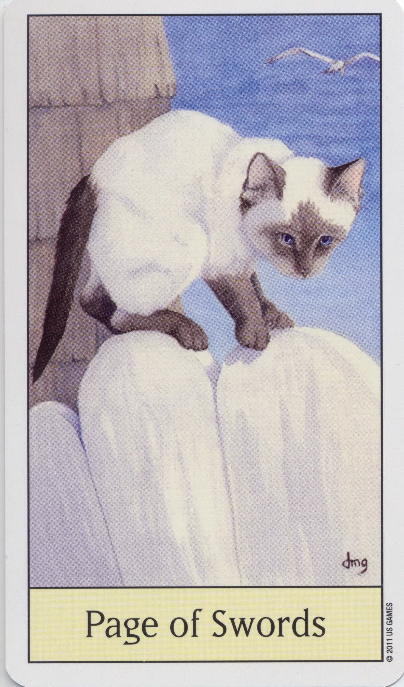 Cat's Eye Tarot