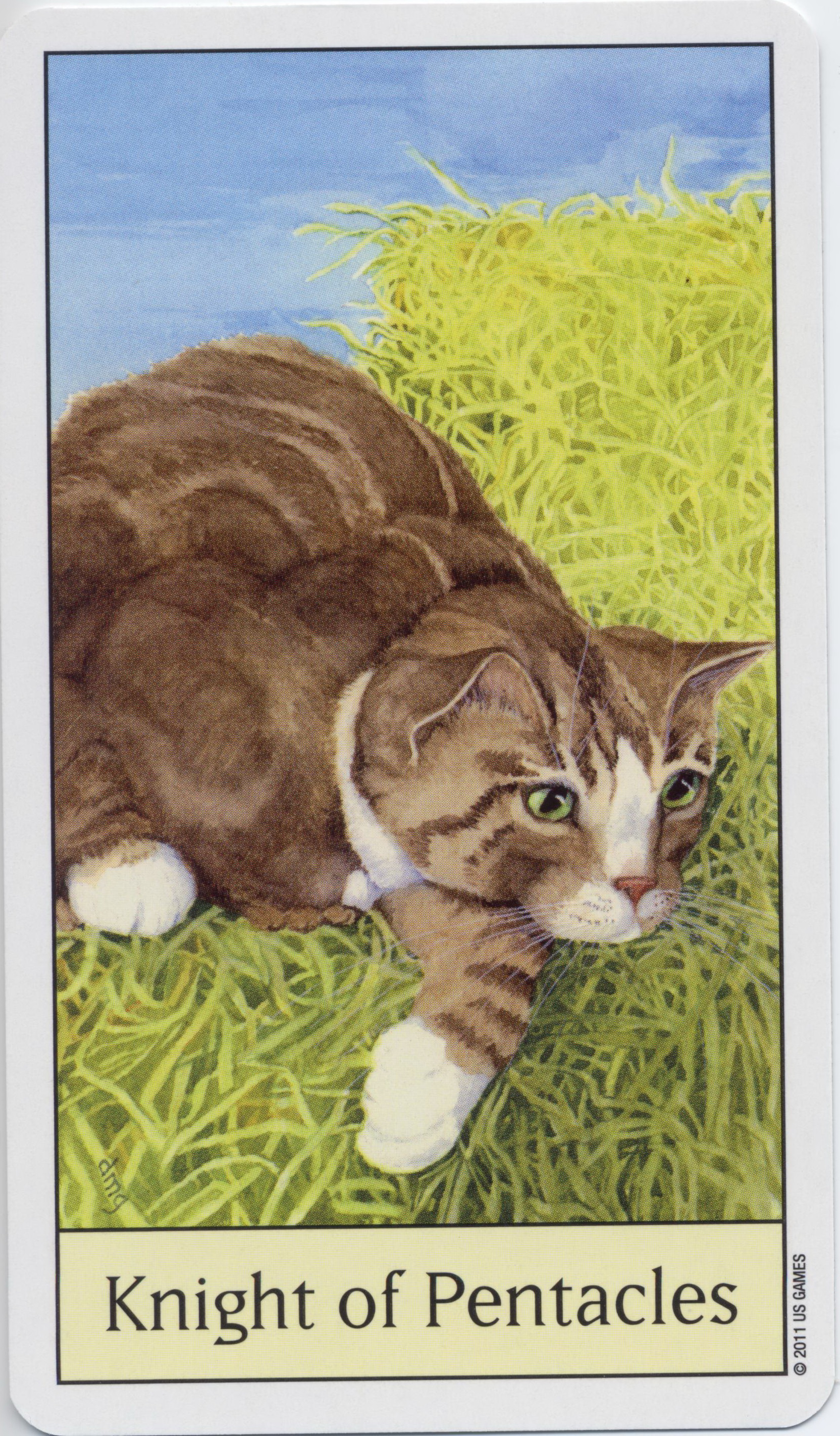 Cat's Eye Tarot