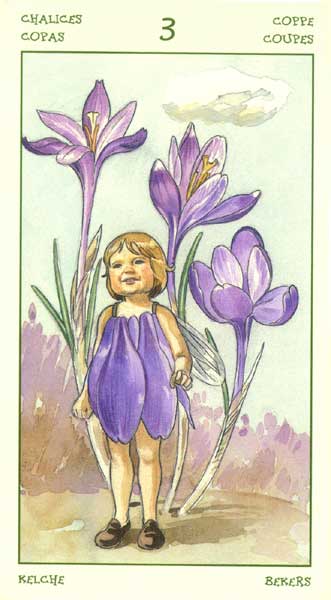 The Spirit of Flowers Tarot