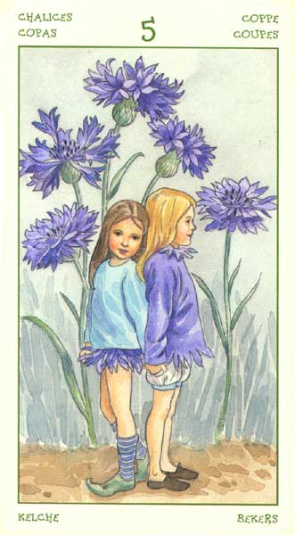 The Spirit of Flowers Tarot