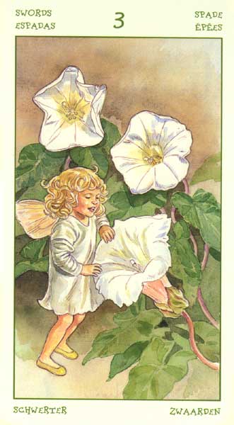 The Spirit of Flowers Tarot