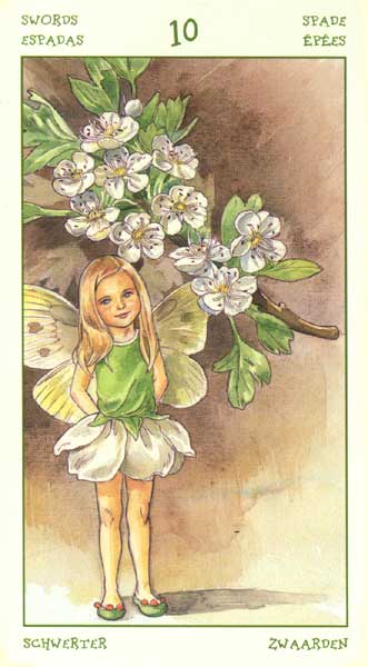 The Spirit of Flowers Tarot