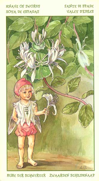 The Spirit of Flowers Tarot