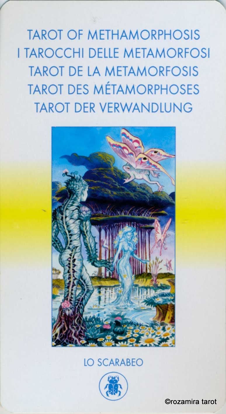 Tarot of Metamorphosis