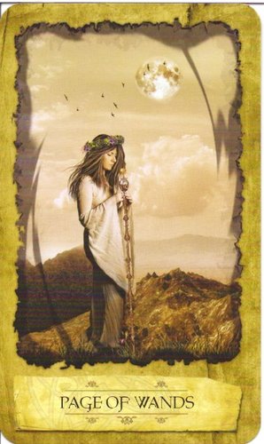 Mystic Dreamer Tarot2