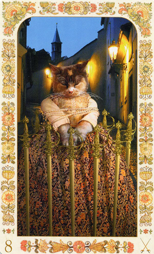 Baroque Bohemian Cats