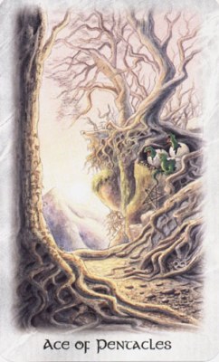 Celtic dragon tarot