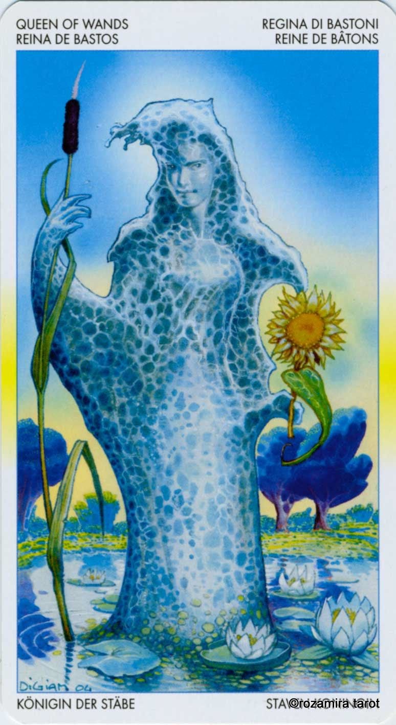 Tarot of Metamorphosis