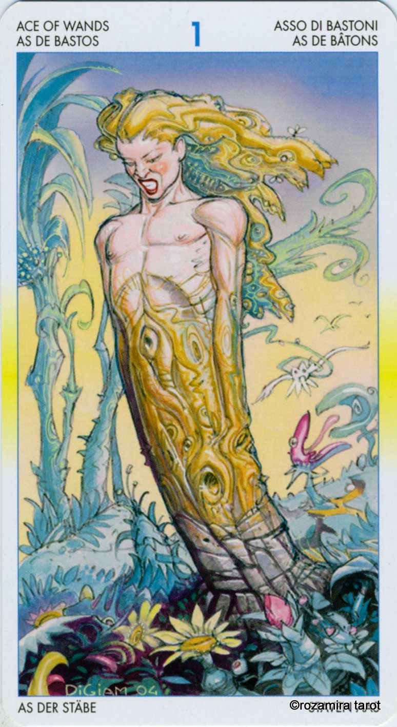 Tarot of Metamorphosis