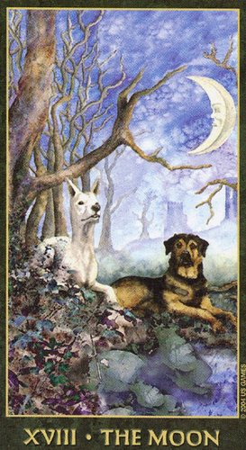 Forest Folklore Tarot