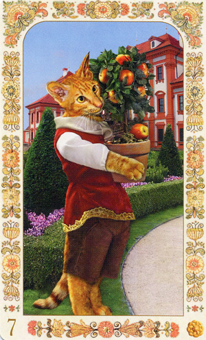 Baroque Bohemian Cats