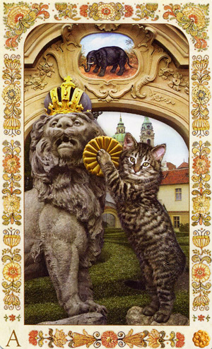 Baroque Bohemian Cats