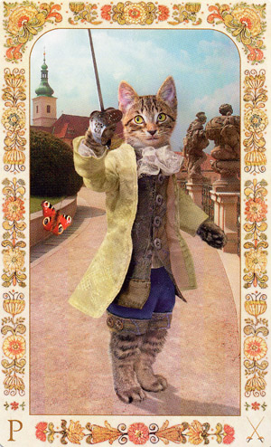 Baroque Bohemian Cats