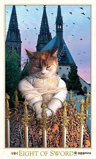 Baroque Bohemian Cats’ Tarot, 2011