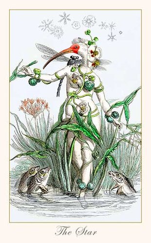 Fantastic Menagerie Tarot