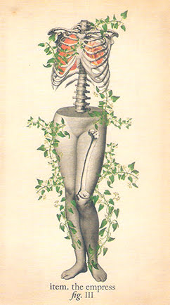 Antique Anatomy Tarot