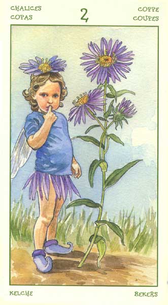 The Spirit of Flowers Tarot