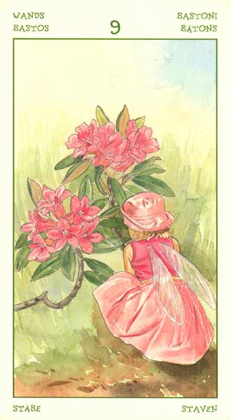 The Spirit of Flowers Tarot