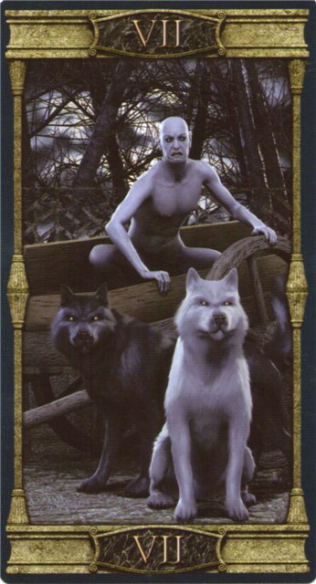 Vampire Tarot of the Eternal Night