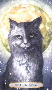 Soul Cats Tarot