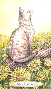 Soul Cats Tarot