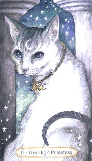 Soul Cats Tarot