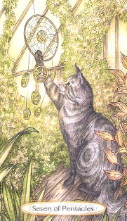 Soul Cats Tarot