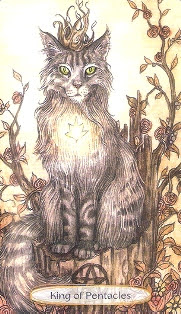 Soul Cats Tarot