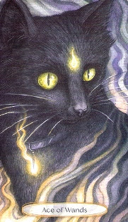 Soul Cats Tarot