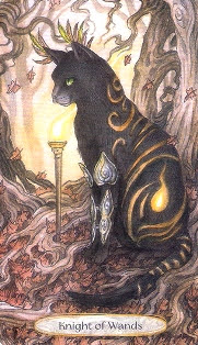 Soul Cats Tarot