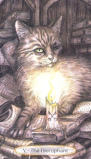 Soul Cats Tarot