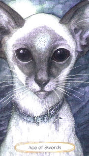 Soul Cats Tarot