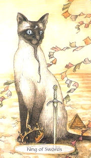 Soul Cats Tarot