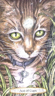 Soul Cats Tarot